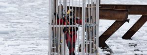 Ocean Kinetics diver in cage in Antarctica